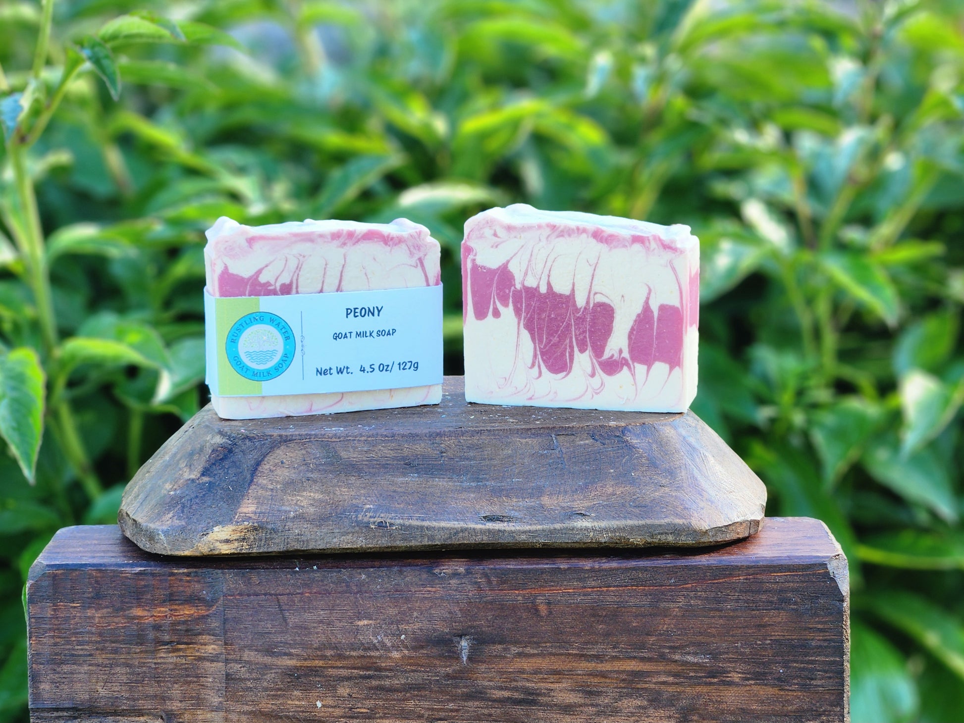 Two bars of soap on a wooden block with a green leafy background