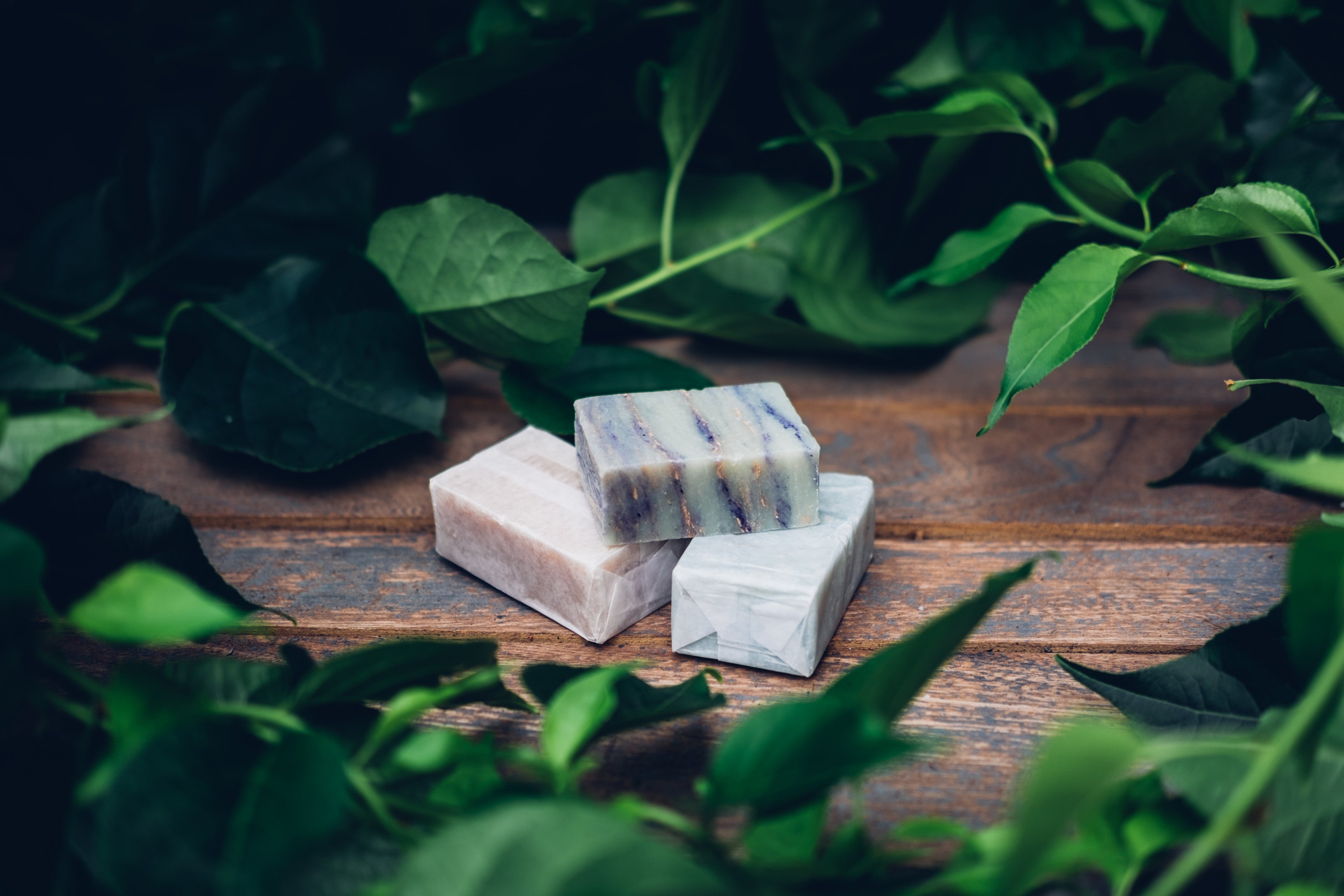 Three bars of soap with green foliage surrounding them.