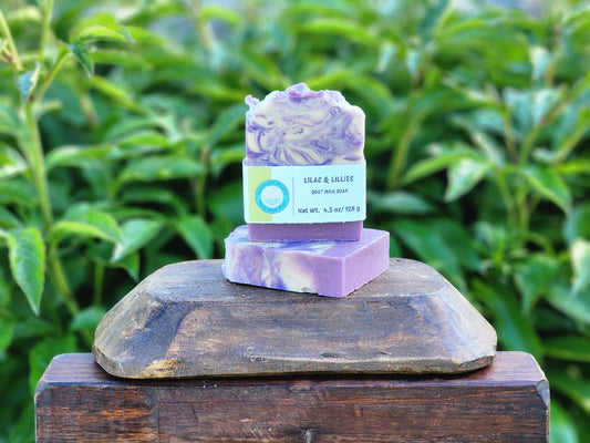 Two bars of soap stacked on a wooden block with a green leafy background